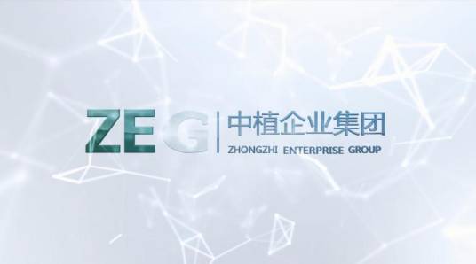 中植企业集团有限公司
