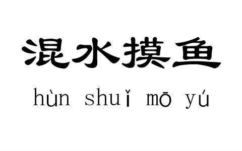 浑水摸鱼（2007年中国友谊出版公司出版的图书）