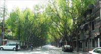 溧阳路