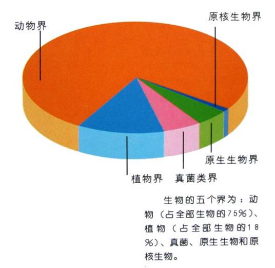 界（生物学分类）
