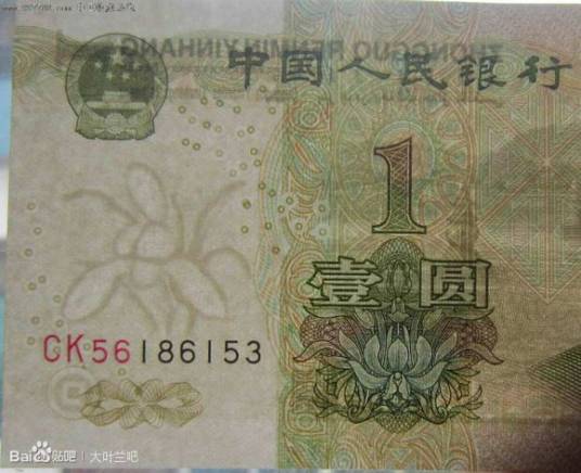 大叶兰冠号