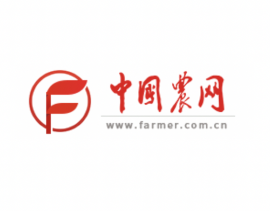 中国农网