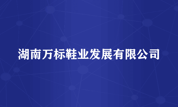 湖南万标鞋业发展有限公司