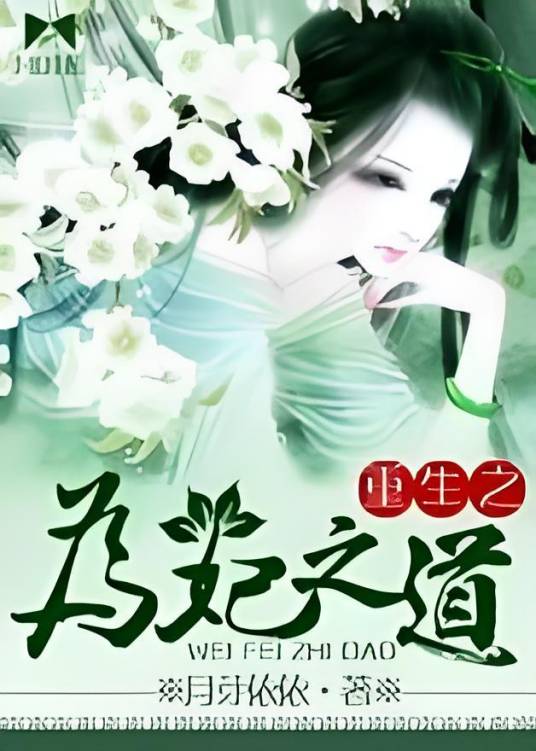 重生之为妃之道