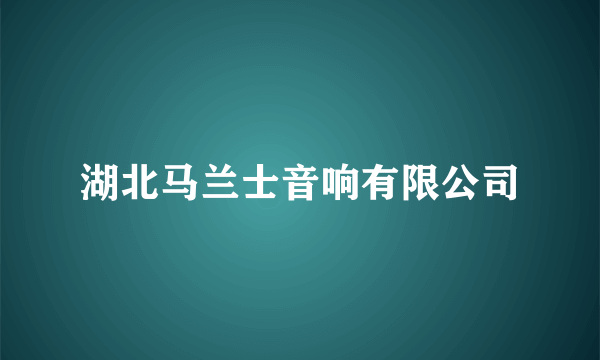 湖北马兰士音响有限公司