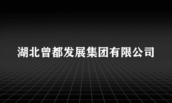 湖北曾都发展集团有限公司