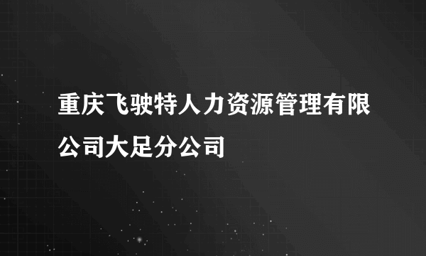 重庆飞驶特人力资源管理有限公司大足分公司