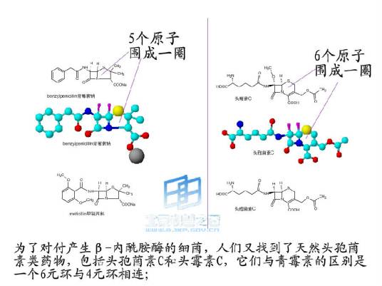 酶抑制剂