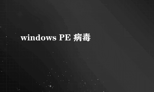 windows PE 病毒