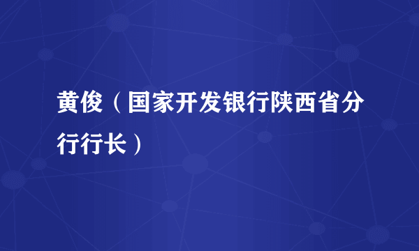 黄俊（国家开发银行陕西省分行行长）