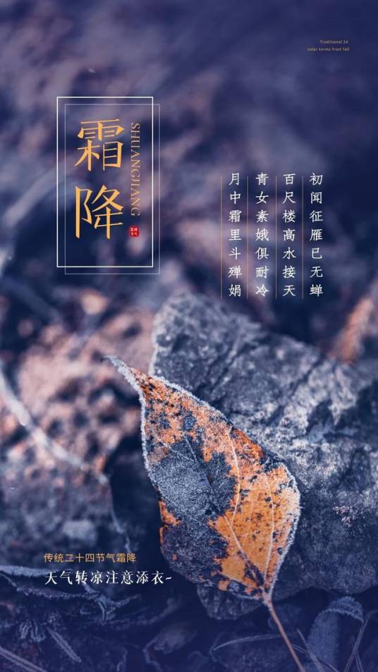 霜降（二十四节气之一）