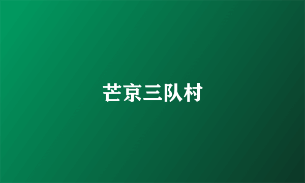 芒京三队村
