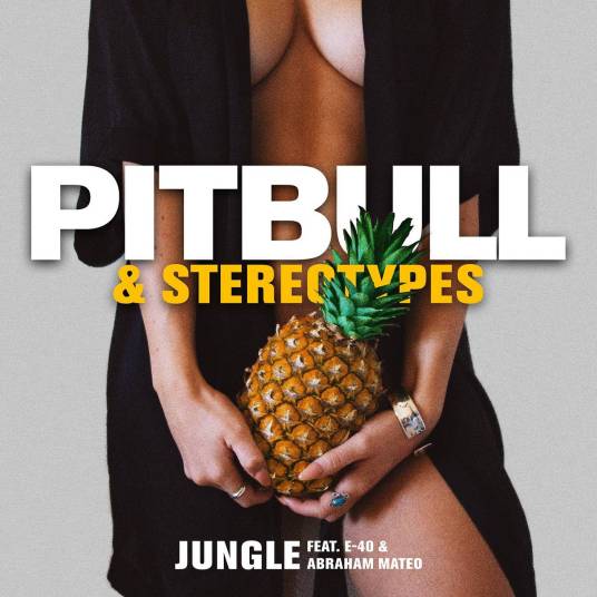 jungle（Pitbull,E-40,The Stereotypes,Abraham Mateo演唱歌曲）