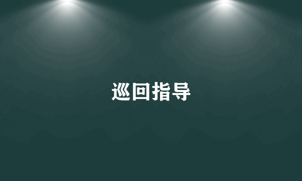 巡回指导