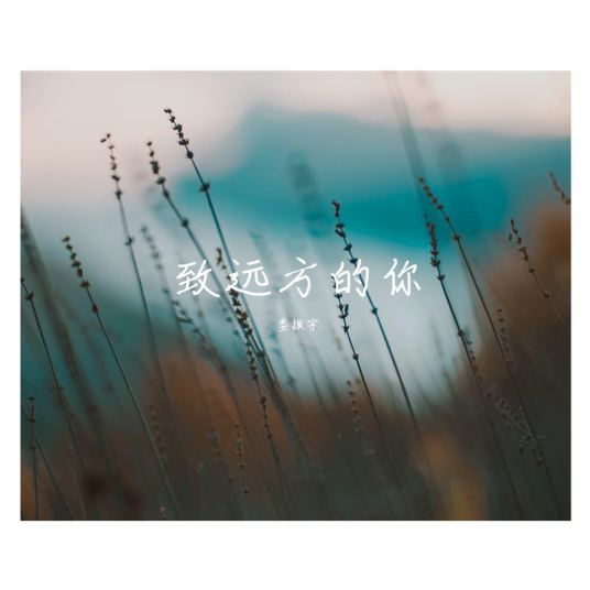 致远方的你