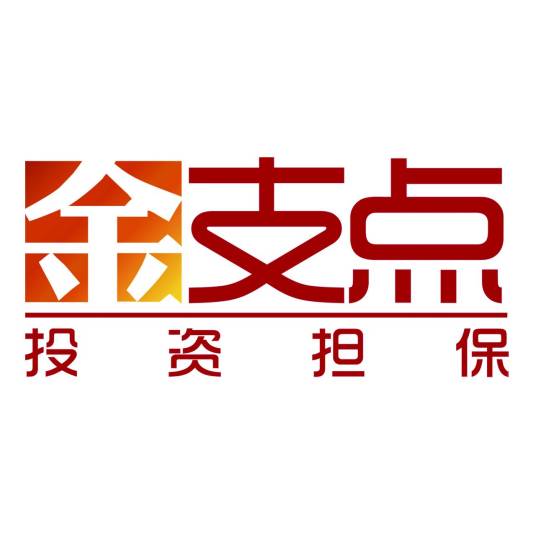 河南金支点投资担保有限公司