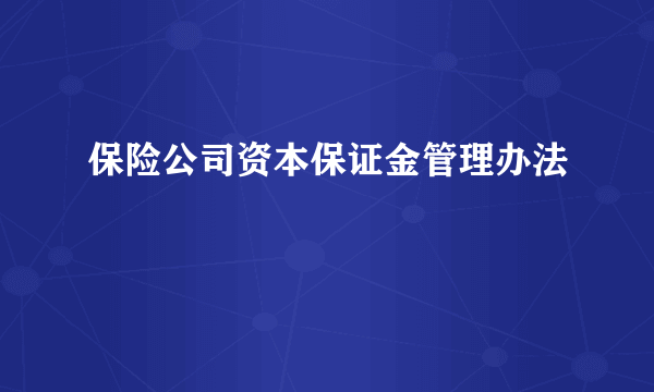 保险公司资本保证金管理办法