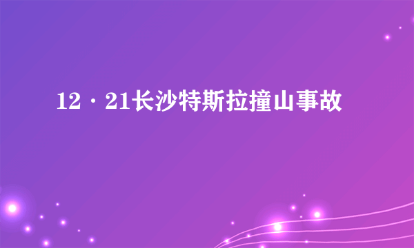 12·21长沙特斯拉撞山事故