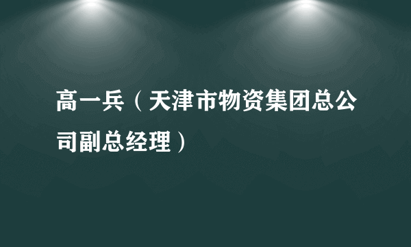 高一兵（天津市物资集团总公司副总经理）