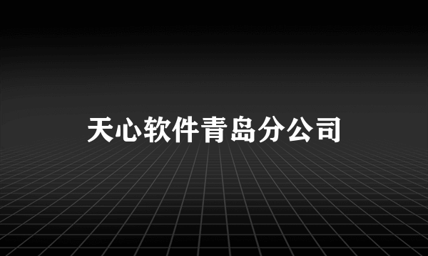 天心软件青岛分公司