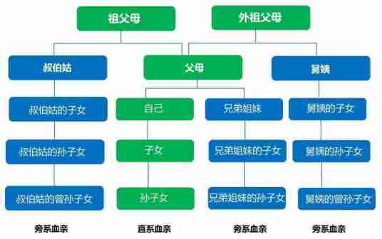 亲兄弟姐妹