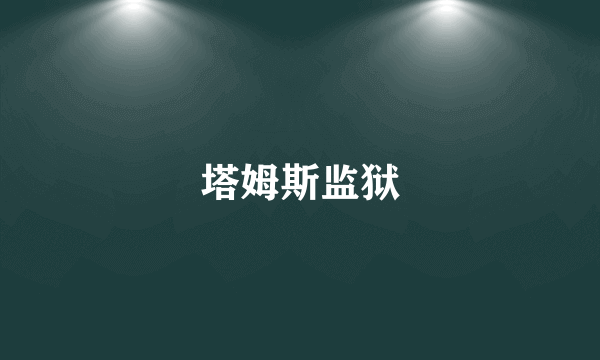 塔姆斯监狱
