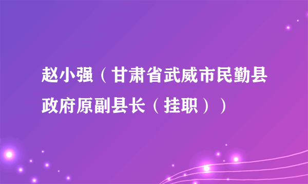 赵小强（甘肃省武威市民勤县政府原副县长（挂职））