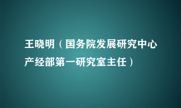 王晓明（国务院发展研究中心产经部第一研究室主任）