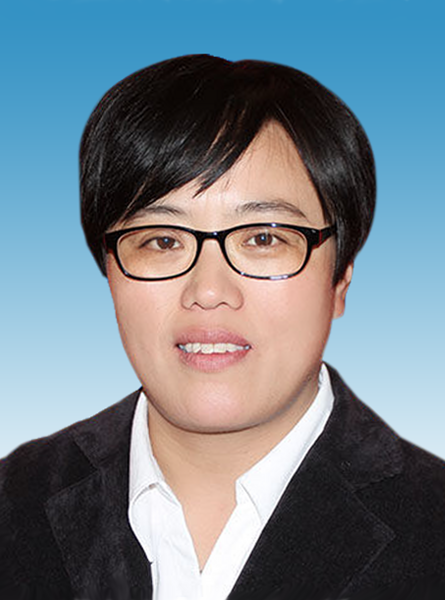 宋丽芳（安徽省阜阳市颍上县委常委、统战部部长，县政协党组副书记）