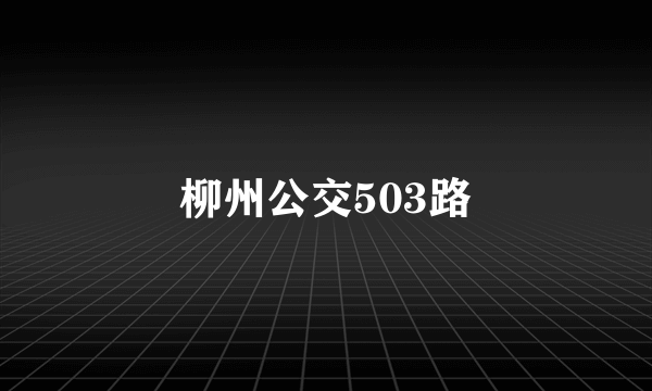 柳州公交503路