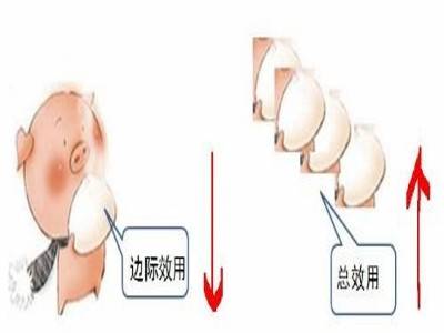 总效用