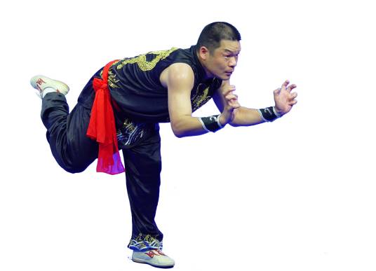 福建南少林地术拳