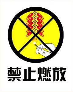 烟花爆竹标志