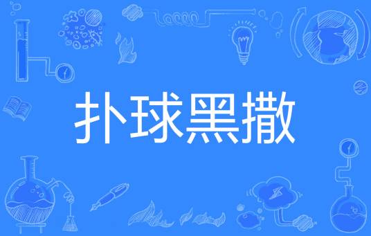 扑球黑撒