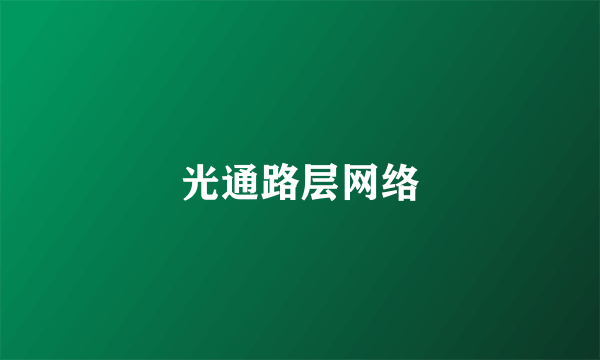 光通路层网络