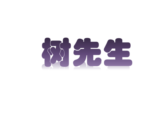 树先生（北京汽车用品品牌）