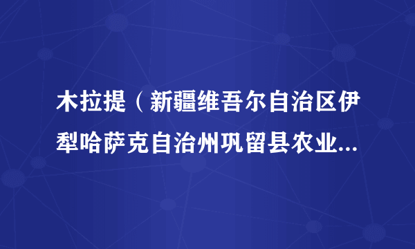木拉提（新疆维吾尔自治区伊犁哈萨克自治州巩留县农业农村局党组成员、畜牧兽医局局长）