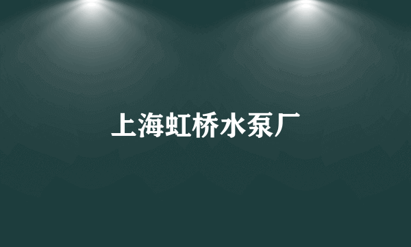 上海虹桥水泵厂