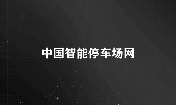 中国智能停车场网