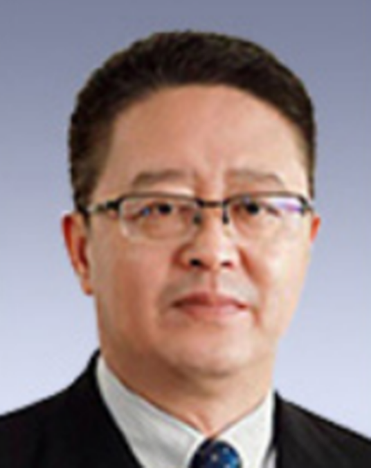 王树东（中国中煤能源集团有限公司党委书记、董事长）