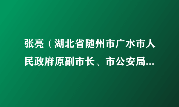 张亮（湖北省随州市广水市人民政府原副市长、市公安局原局长）