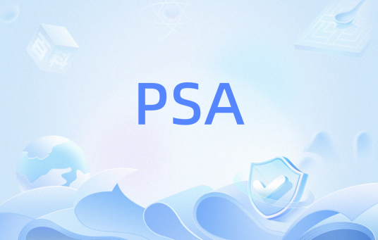 PSA（概率安全评价）