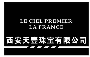 西安天壹珠宝有限公司