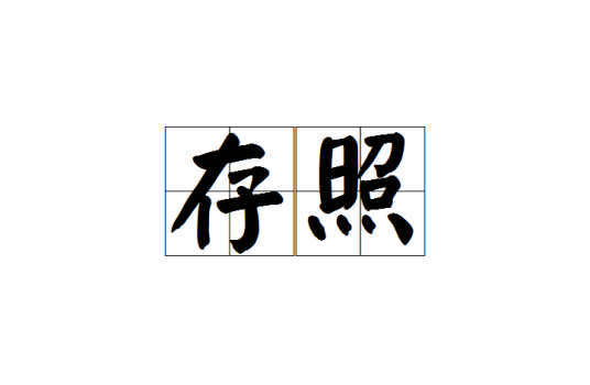 存照