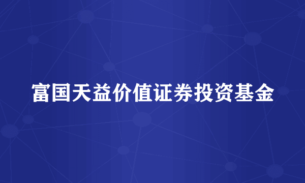 富国天益价值证券投资基金