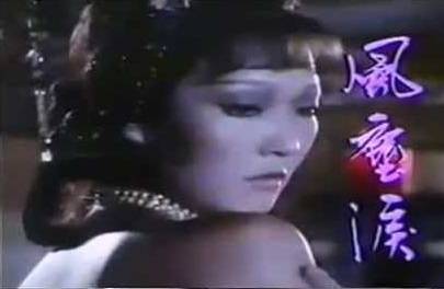 风尘泪（1980年首播的香港丽的电视剧集）