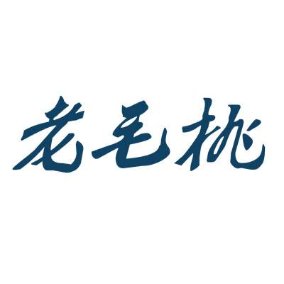 老毛桃u盘启动盘制作工具