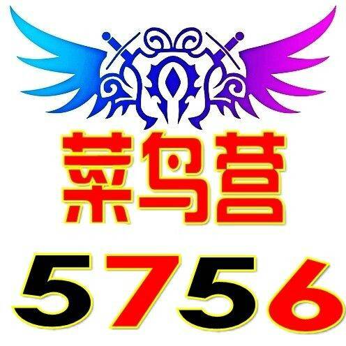 菜鸟营