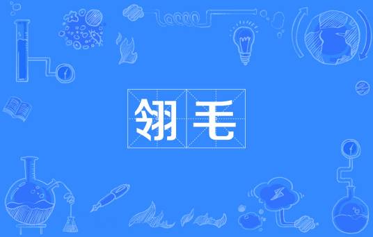 翎毛