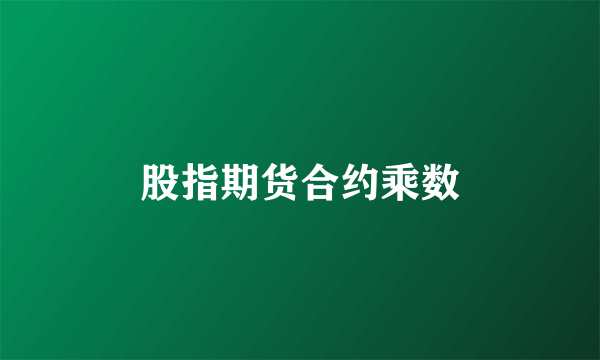 股指期货合约乘数